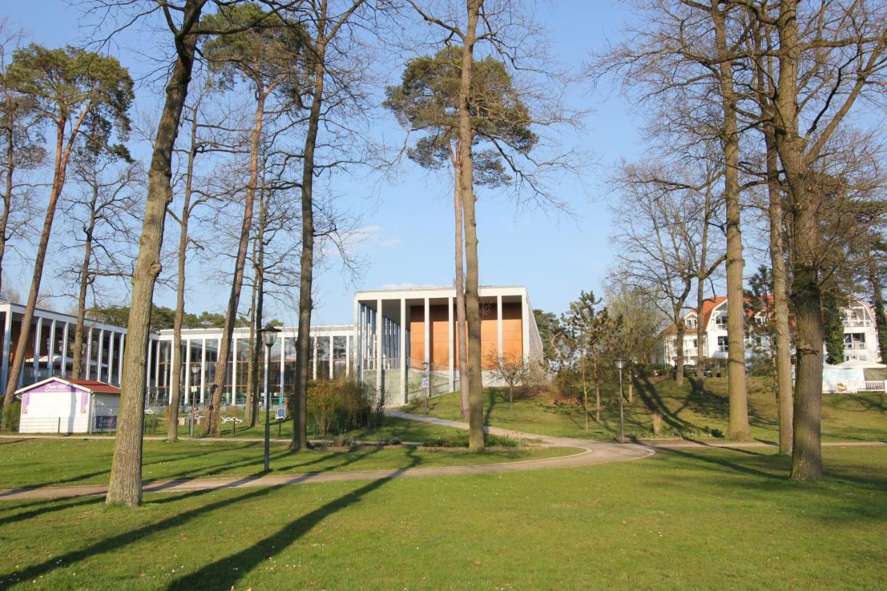 K8 Fewo - Am Kurpark - Therme Bad Saarow Exterior foto